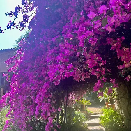 Magdala Arts&résidence