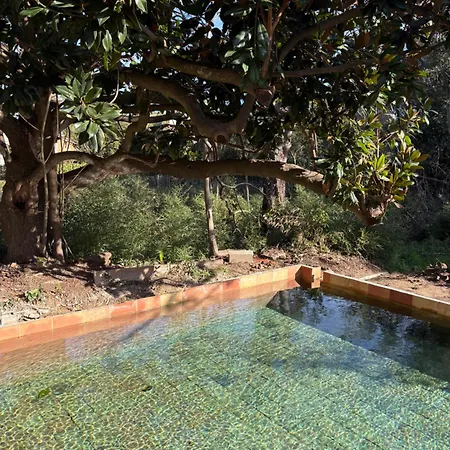 Magdala Arts&résidence Couette-café *