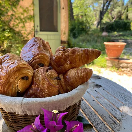 Magdala Arts&résidence Couette-café *